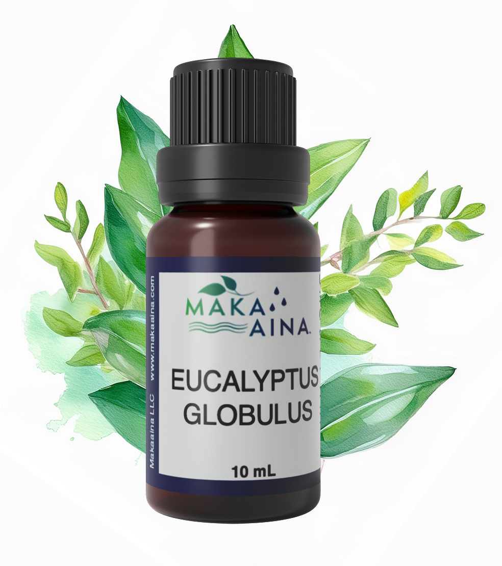 Eucalyptus Globulus essential oil